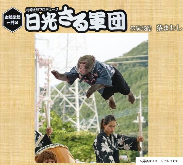 日光さる軍団 伝統芸能 猿まわし｜イベント＆ニュース｜BIG HOP